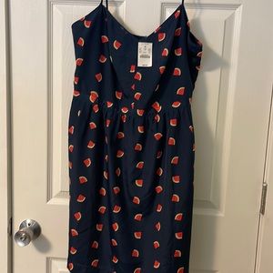 J Crew Watermelon slice tank dress